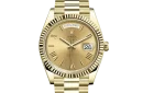 DAY-DATE 40 gold roman dial