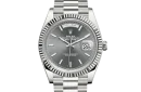 DAY-DATE 40 mm stainless steel grey dial